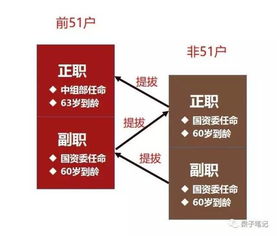 你不知道的央企級(jí)別 揭開體制內(nèi)的神秘面具與企業(yè)資產(chǎn)管理