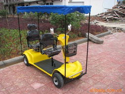 永康市踏雪無痕休閑用品有限公司 電動(dòng)觀光車產(chǎn)品系列，助力休閑觀光活動(dòng)新體驗(yàn)
